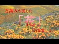 万葉人が愛した「花」を読む（『万葉集』）