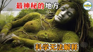 15个最神秘的地方科学家至今无法解释丨地球之最#冷知识 #排名 #世界之最#难以置信 #未解之谜 #探秘#历史遗迹#历史#古代遗迹#惊人发现#世界之最top#出类拔萃#top10#超自然现象