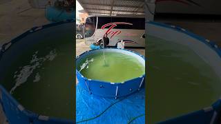 Como Limpar Piscina De Plástico Pt1