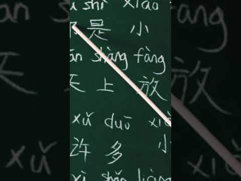 Самый популярный язык