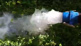 Lefke Satilik Narenci̇ye Ve Fi̇danlik Tarla