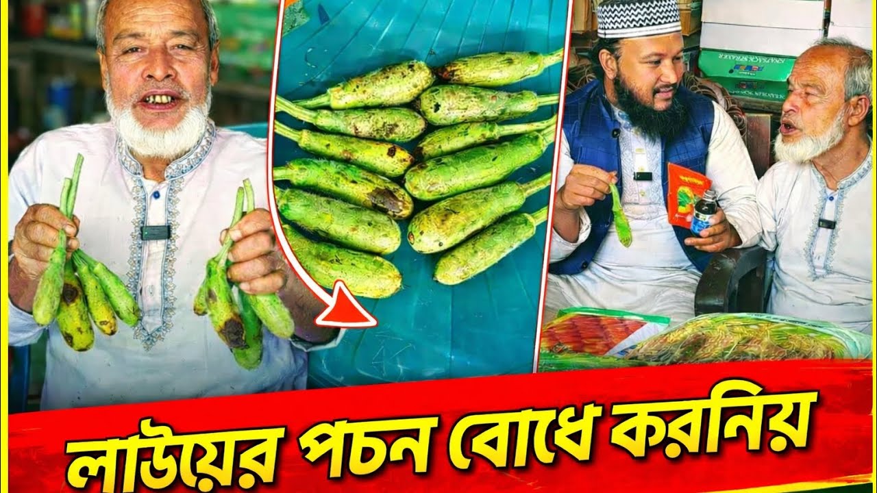 লাউয়ের পচন রোগ কেন হয়? লাউ পচন রোধের কার্যকর সমাধান | Lau Fruit Rot Control! 