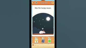 Braindom 2 Riddle Gameplay Level 143