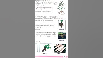 AP DSC science 4th class Evs sem-1 important mcqs usefull video 1mark topic don