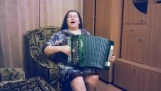 Вьюга. Гармонь.accordion