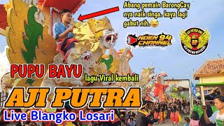 PUPU BAYU ❗️❗️❗️BUROK AJI PUTRA LIVE BLANGKO LOSARI