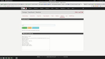 Block obscene websites pfsense
