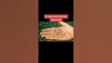 Как понять, что у вас глисты? 10 признаков наличия паразитов.