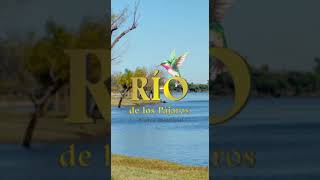 POR SIEMPRE IRACUNDOS -PREMIO BINACIONAL RIO DE LOS PAJAROS 2023