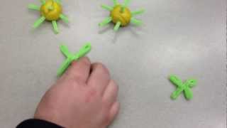 Program Theory Demonstration Video