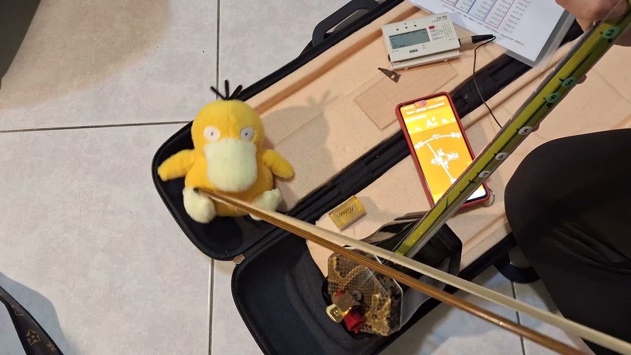 20250207 2249 換完弓，上松香，調音：內弦-D-293.66 Hz, 外弦-A-440 Hz