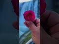 شلال تورتوم في الشمال التركي رابع أكبر شلال في العالم mp3