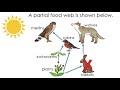 Energy Flow and Ecosystem Changes in Food Webs