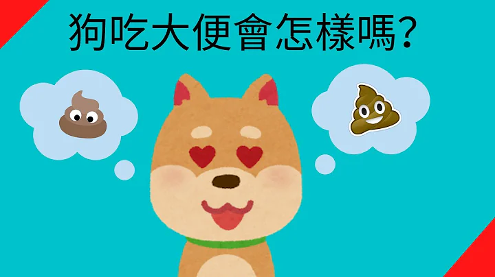 【狗吃大便】為什麼要吃？會不會怎麼樣？應該怎麼辦？ - 天天要聞