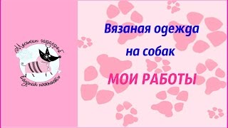 Вязаная одежда на собак своими руками Вязаная одежда на собак своими руками