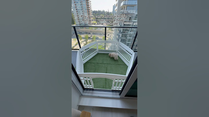 I Turned My Balcony into a Dog Playground! 🐾✨