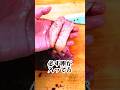 卵が必ず入ってるパターンって？【コチ】
