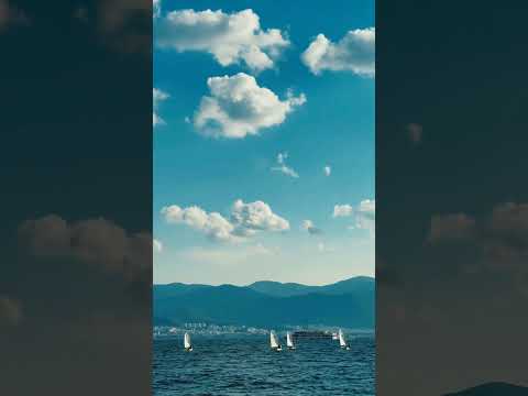 Little boats dance