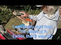 How to make a Firewood Bundle - A Better Bundle