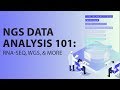 NGS Data Analysis 101: RNA-Seq, WGS, and more - #ResearchersAtWork Webinar Series