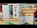 Инкубатор Стимул-1000 от компании Стимул-Инк. Выставка АгроФерма-2017