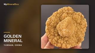 Video preview: Golden Mineral Rosette with a Raised Center — Yunnan, China