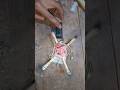 How To Make a Mini Drone #shorts