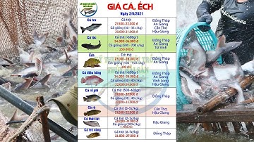 Giá Thủy Sản hôm nay 02/06/2021