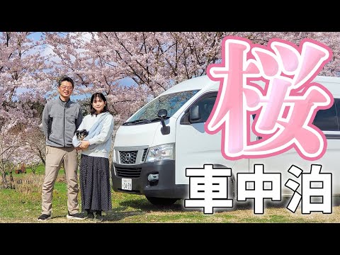 夫婦二人で一週間車中泊#1/みちのく桜名所をハシゴする青森・秋田旅