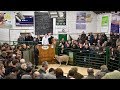 Kirkby Stephen Tup Sales 2018 (55,000 FOR A TUP) Full Highlights