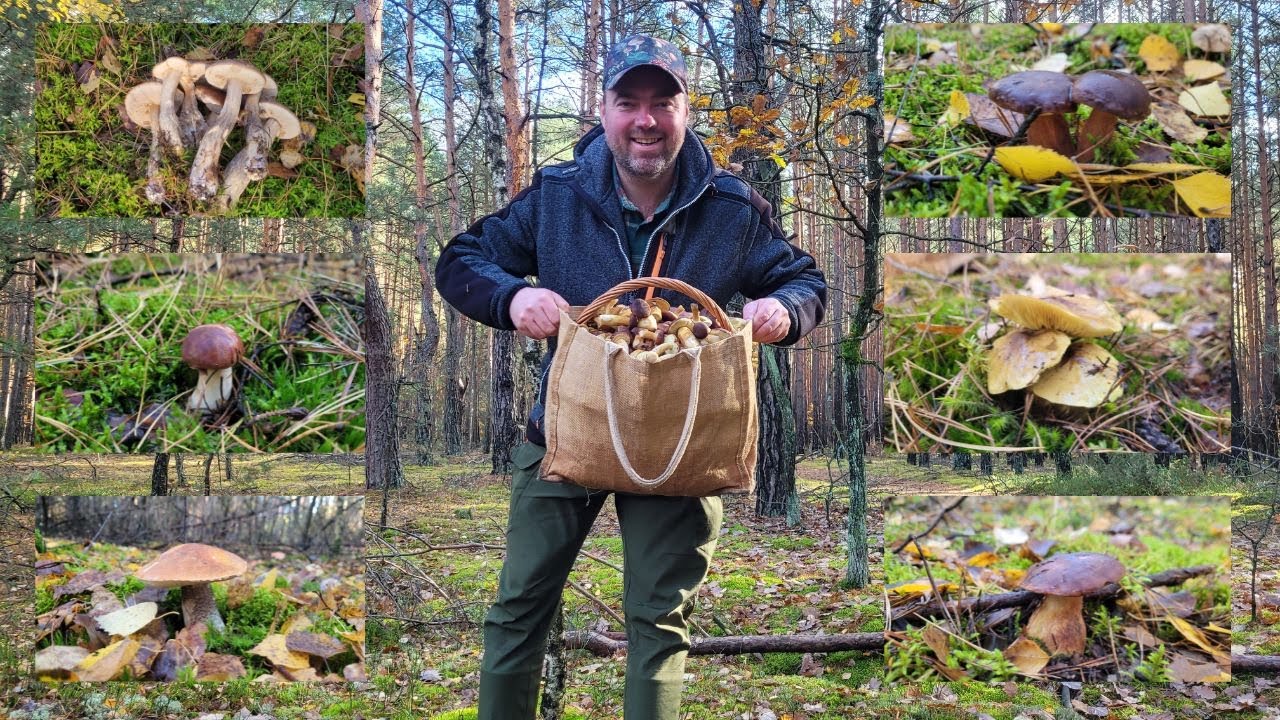 CUDOWNE PODGRZYBKI, KOŹLARZE I GĄSKI Z PUSZCZY KOZIENICKIEJ 25.10.25