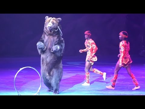 เหลือเชื่อ!!.ฝึกหมีได้ขนาดนี้ ละครสัตว์ Chimelong Circus กวางโจว ................เจริญศรี มิตรภานนท์