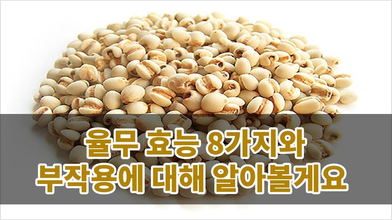 율무 효능 8가지와 부작용에 대해 알아볼게요 - YouTube