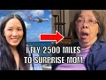 I Travel From Hawaii To San Francisco To Surprise Mom