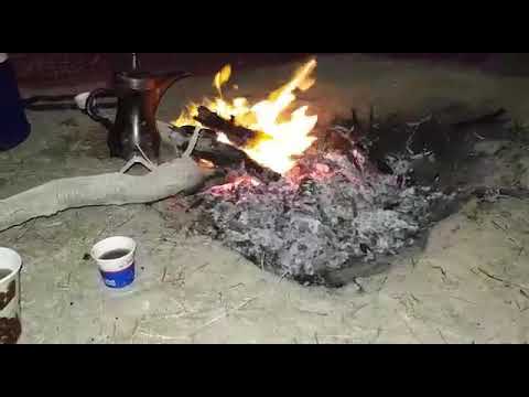سمسمية بدوية