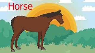 The meaning of the word horse in Arabic معنى كلمة حصان في الانجليزية