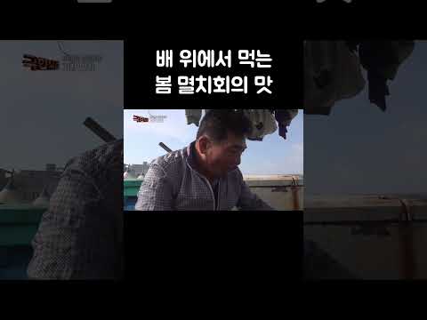 제철 맞아 더 맛있는 멸치회 #shorts