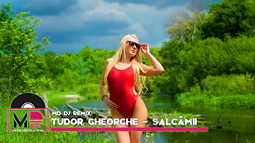 Tudor Gheorghe - Salcâmii (MD Dj Remix)