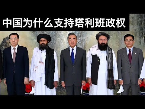 中国为什么支持塔利班政权/上海一中学生的泣血遗书(字幕)/Why Does China Support Taliban/王剑每日观察/20210818