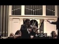 Alvaro gomez plays sarasate