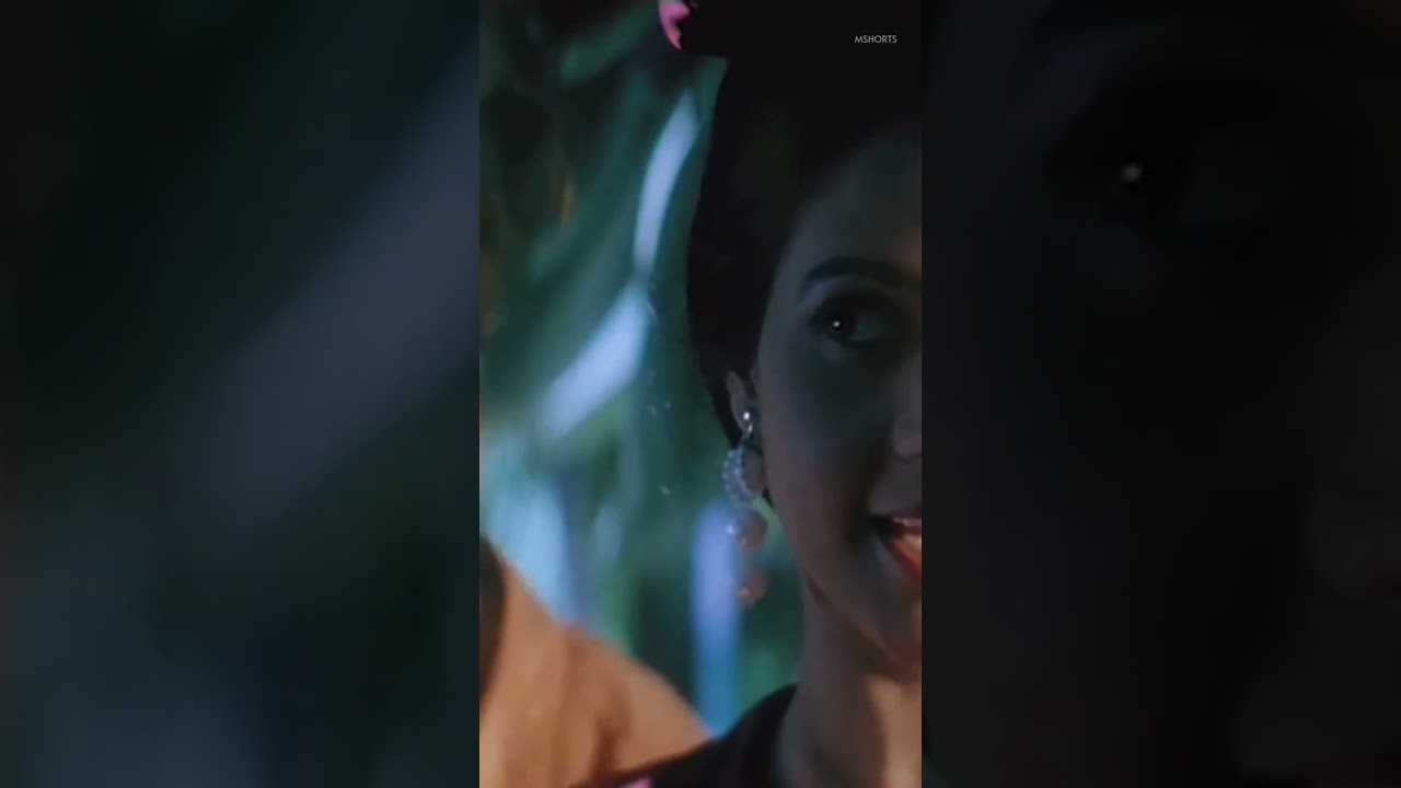 Mera Dil Gaya Priya Gill Udit Narayan Alka Yagnik Hits Status - mshorts