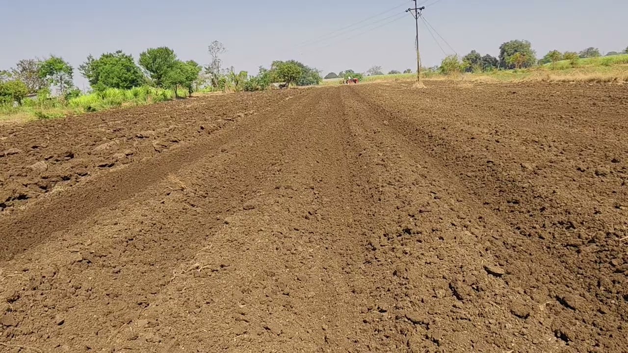 फुल शेती माहिती