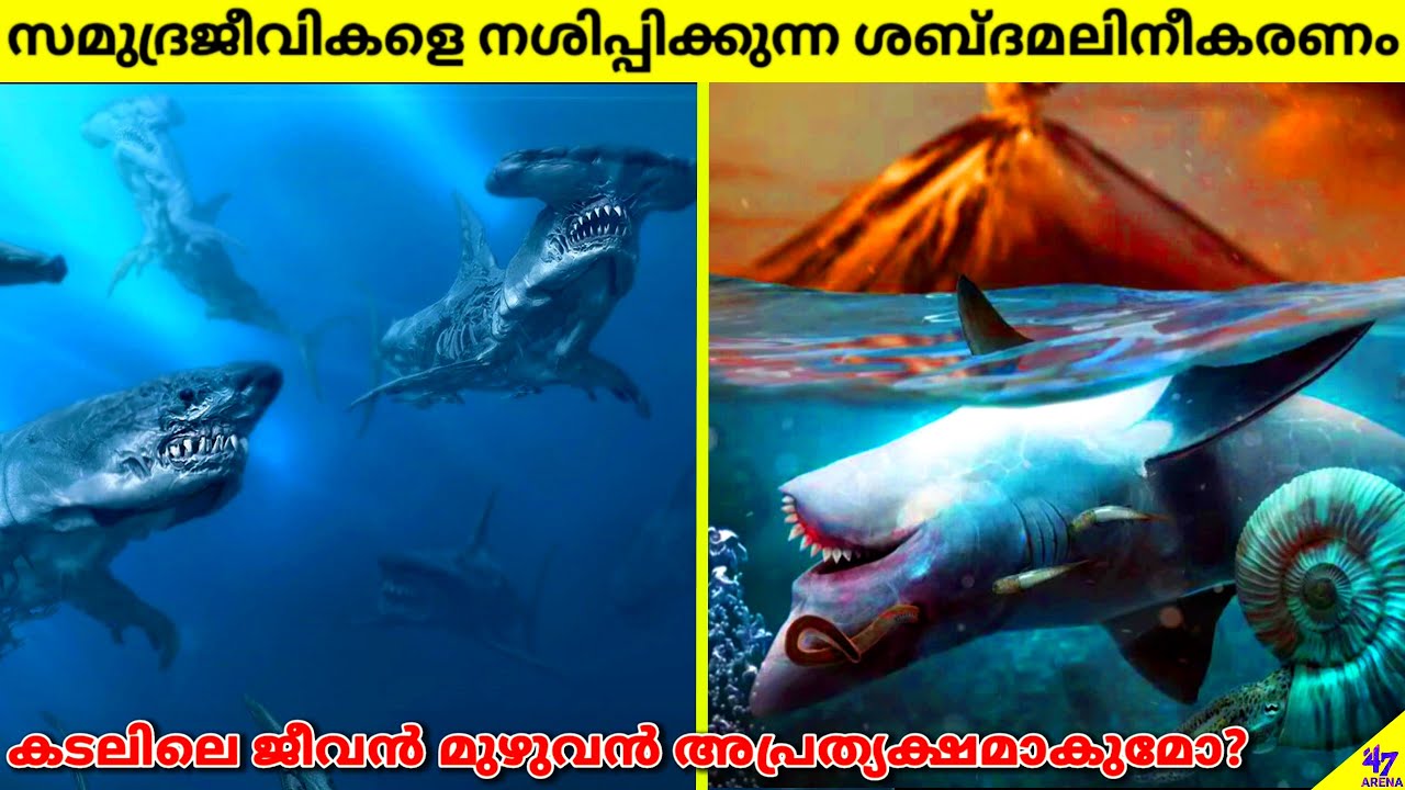 Noise Pollution Killing All Ocean Animals | Will Ocean Life Disappear? | Facts Malayalam | 47 ARENA