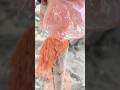 सुतली बम vs रंग in home एक्सपेरिमेंट #viralvideo #viral