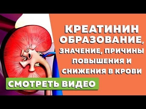 Видео: Киселина в устата: основните причини