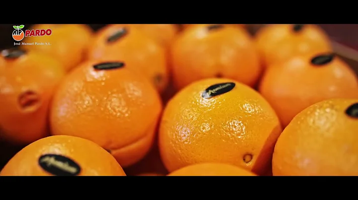 Reemoon Citrus Sorting Solution