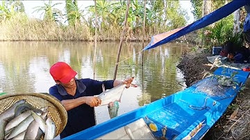 Tập3_Dựng trại cắm câu ll giăng lưới cập bìa nông trường hàng quí hiếm đã xuất hiện