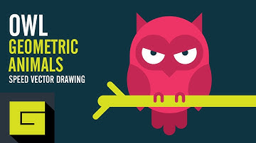 Speed Drawing, How to draw Owl, Adobe Illustrator