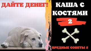 📝🐕🐾 Вредные советы: каша с костями 2. Дайте денег!!!