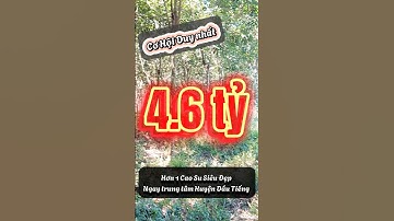 Đất Dầu Tiếng I Cảnh báo  ! Chỉ duy nhất hôm nay mua được lô đất Ngộp này #datdautieng